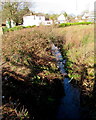 Unnamed stream in Begelly