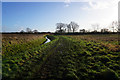 Westfield Beck towards York