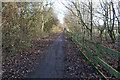 SE5954 : Path leading to Clifton Backies Nature Reserve, York by Ian S