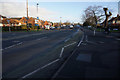 Crichton Avenue, York