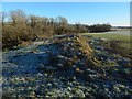 Ardochbeg: ruins of an ancillary building