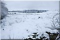 Snowy fields on the edge of Bearsden