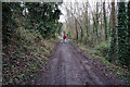 Cat Lane, Hang Bank Wood, Sheffield