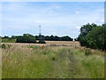 Footpath towards Great Baddow