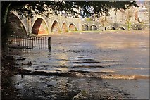 NT2540 : The Tweed in flood at Peebles by Jim Barton