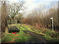 Llwybr Ceffyl Ty Newydd / Ty Newydd Bridleway