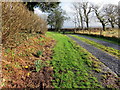 Llwybr Pant y Glien / Pant y Glien Path