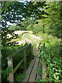 Footpath towards Galleywood