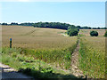 Footpath west from The Chase