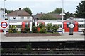 Train at Dollis Hill Station