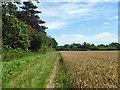 Footpath by Baddow Park