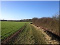 TL1675 : Field footpath by Dave Thompson