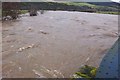 NT3436 : River Tweed in flood, Innerleithen by Jim Barton