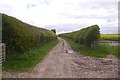 SO6470 : Green lane, Bickley by Richard Webb