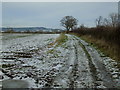 Bridleway heading East towards Underwood Plantation