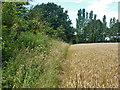 Field edge footpath