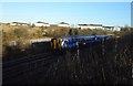 Train approaching Nitshill