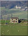 Hill Top from Riggs High Road