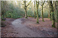 Bridleway through Lickey Hills Country Park