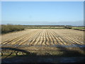 Stubble field near Gilberdyke