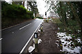 Quiet Lane, Sheffield