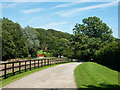 TL6402 : Bridleway to Edney Common by Robin Webster