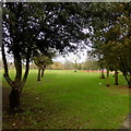 Woodcock Park, looking north west from Shaftesbury Avenue