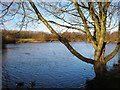 Leen Valley Country Park