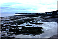 Looking east across Epple Bay at low tide