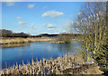 Reclaimed colliery slurry ponds