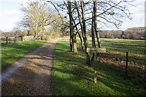 TL2908 : Farm road, near Little Berkhamsted by Jim Osley