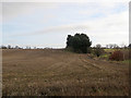 Newbourne: east from Lower House Lane