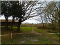 Path from Sturt Road reaches Camelsdale Recreation Ground