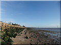 Humber Foreshore, North Ferriby