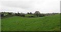 J5049 : Undulating land west of the A22 (Killyleagh Road) by Eric Jones