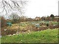 Hovingham Grove allotments