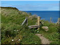 NZ4442 : Stile along the England Coast Path by Mat Fascione