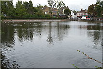 TQ2764 : Carshalton Lower Pond by N Chadwick