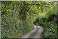 Lane to Moditonham Quay