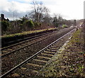 Borderlands Line south from Cefn-y-bedd station, Flintshire