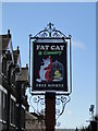 Hanging sign for the Fat Cat & Canary