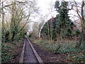 Llwybr Llangennech / Llangennech Path