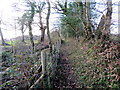 Llwybr Pencoed / Pencoed Path