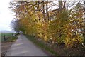 Narrow road, grown out hedge