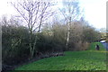 TQ4254 : Wooded area at Clacket Lane Services by Geographer