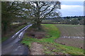 Farm track near The Woods Building