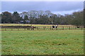 Field beside Gambledown Lane