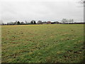 Grass field and Moorfields Farm