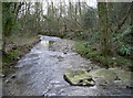 Some remains in the River Boyd