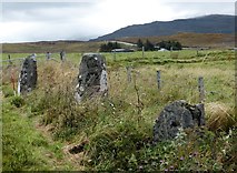 NG4548 : Stone row at Borve by Sandy Gerrard